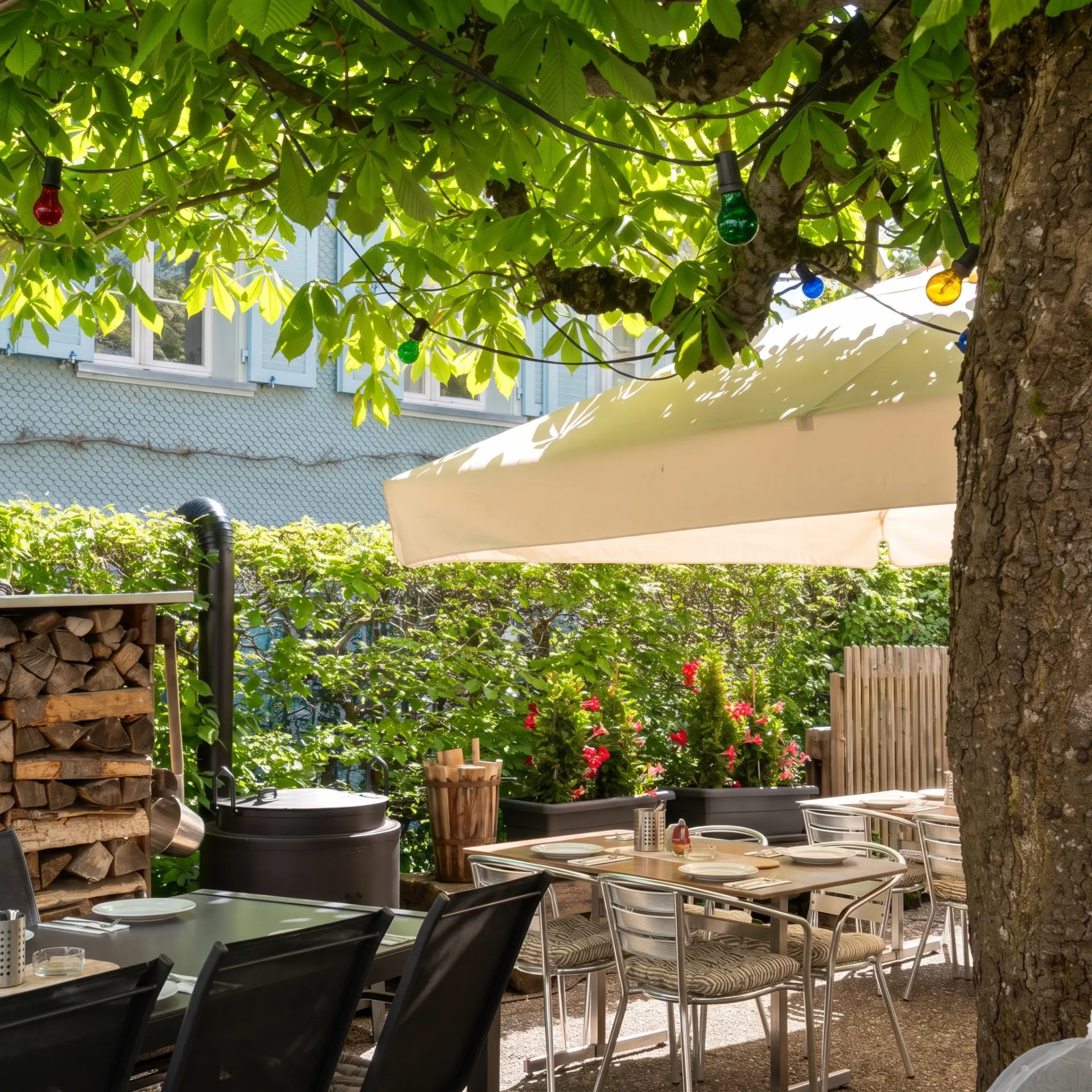 Gartenrestaurant der Traube St. Gallen unter dem Kastanienbaum